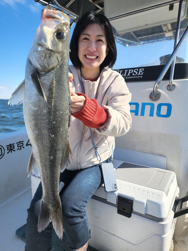 シーバス(スズキ)