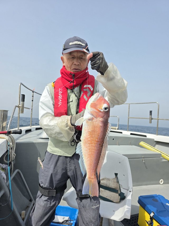 アマダイ(アカアマダイ)