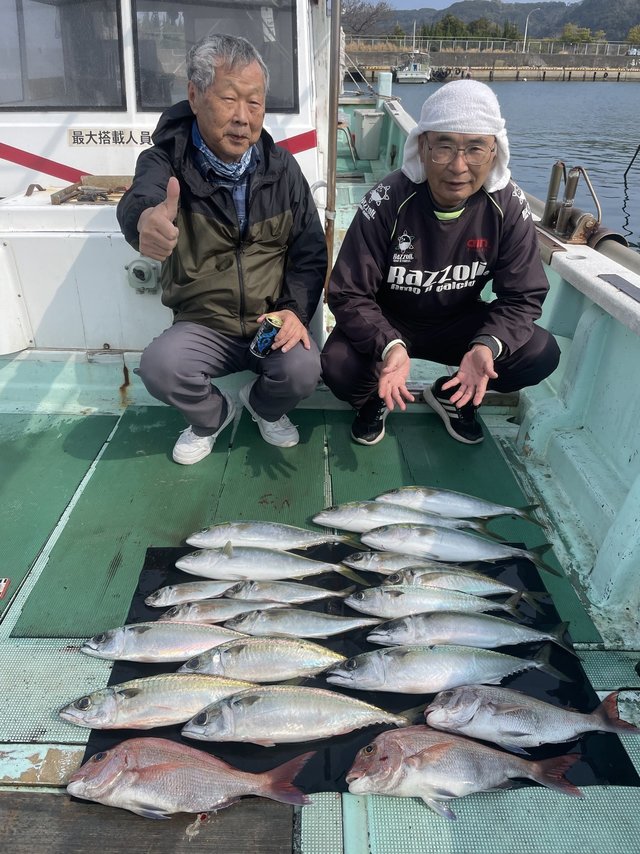 マダイ・マアジ・ハマチ(ブリ)・マサバ