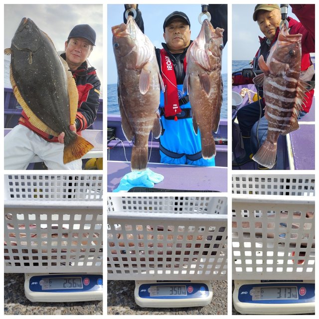 マハタ・ヒラメ