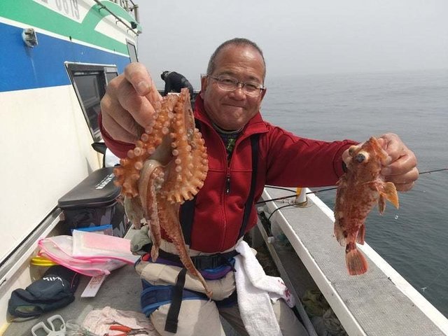 カサゴ・タコ(マダコ)