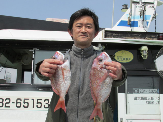 ハナダイ(チダイ)