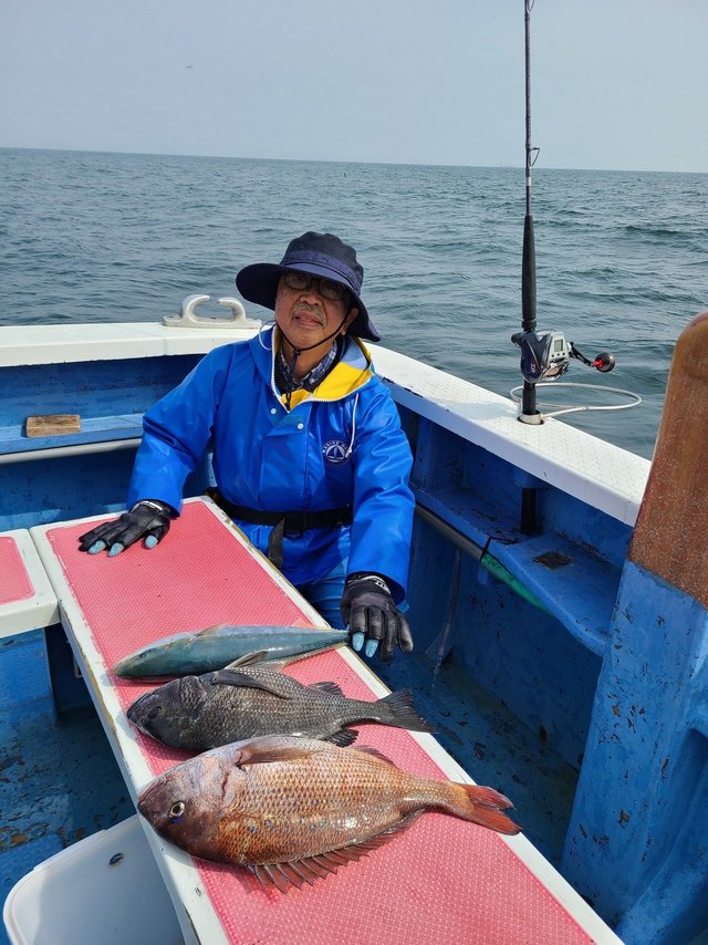 マダイ・クロダイ・イナダ(ブリ)