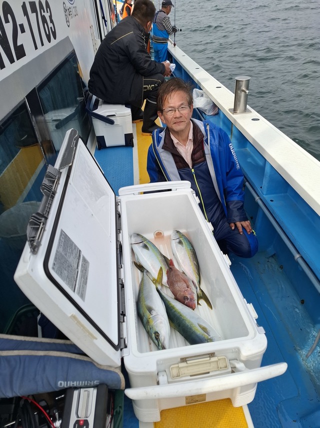 マダイ・イナダ(ブリ)