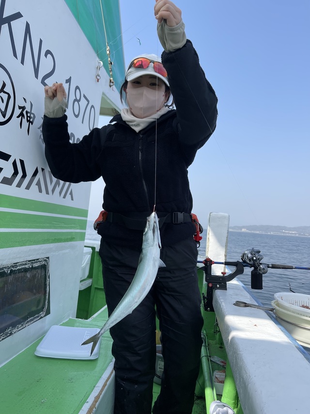 サバ(ゴマサバ)