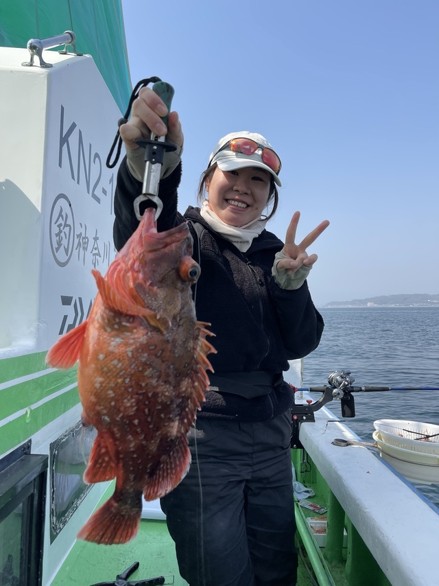 ウッカリカサゴ