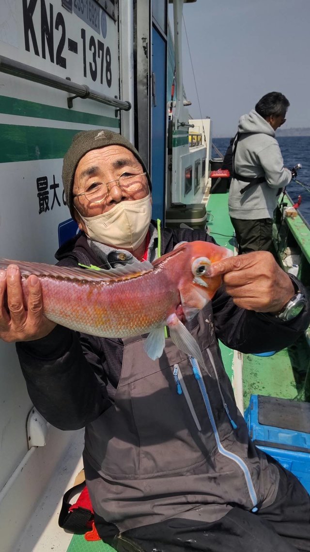 アマダイ(アカアマダイ)