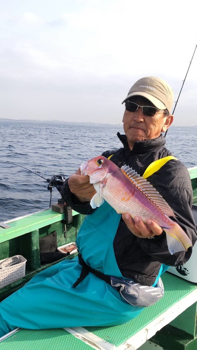 アマダイ(アカアマダイ)