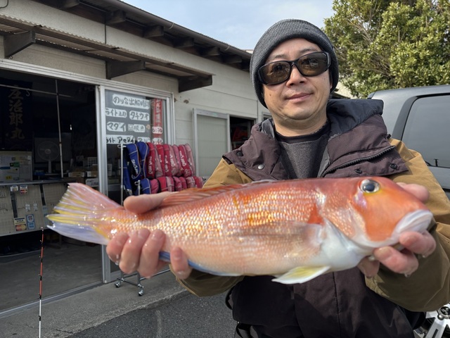 アマダイ(アカアマダイ)