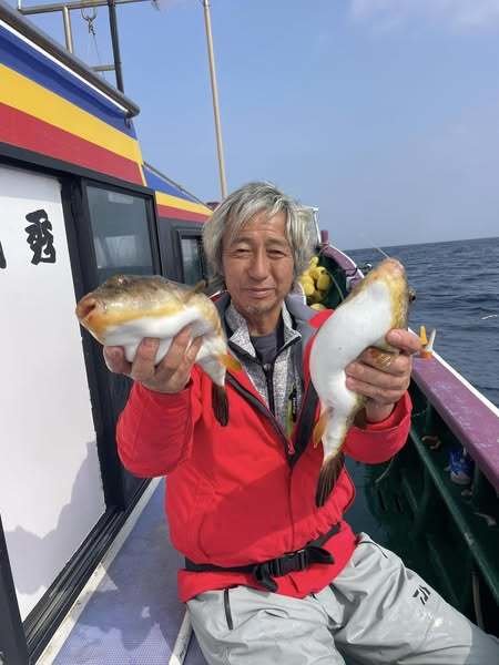 フグ(ショウサイフグ)