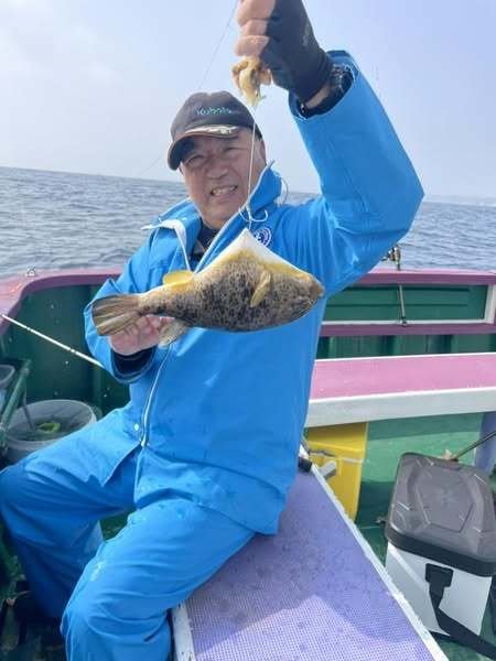 フグ(ショウサイフグ)