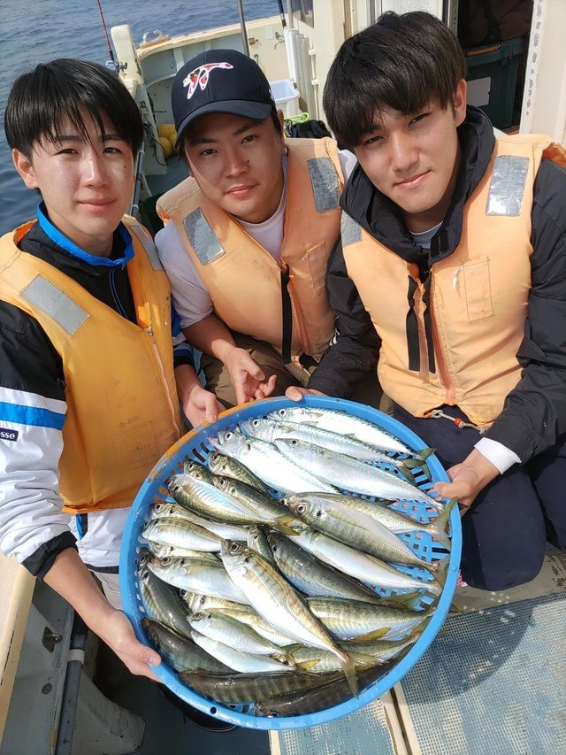 アジ(マアジ)・サバ(マサバ)