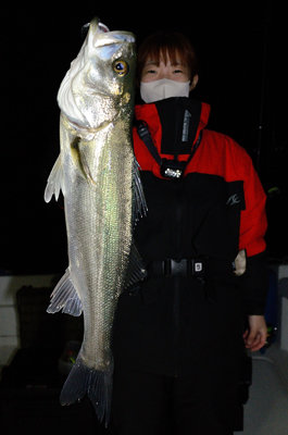 シーバス(スズキ)