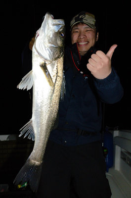 シーバス(スズキ)