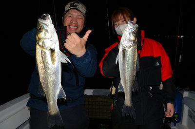 シーバス(スズキ)