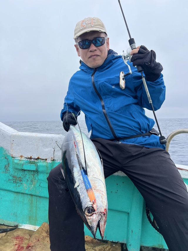 ビンチョウマグロ(ビンナガ)