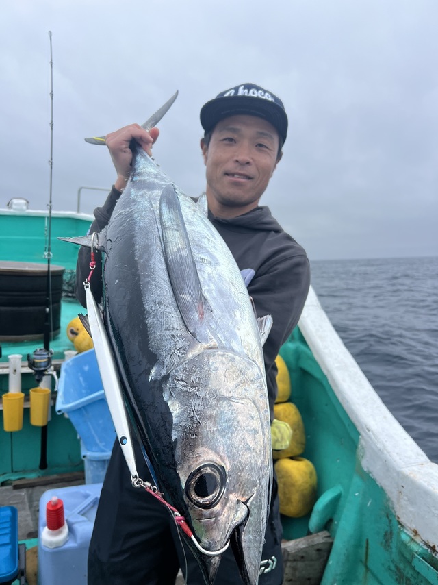 ビンチョウマグロ(ビンナガ)