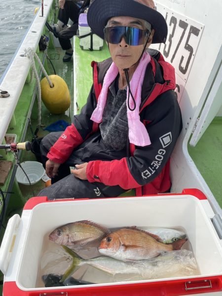 マダイ・イナダ(ブリ)