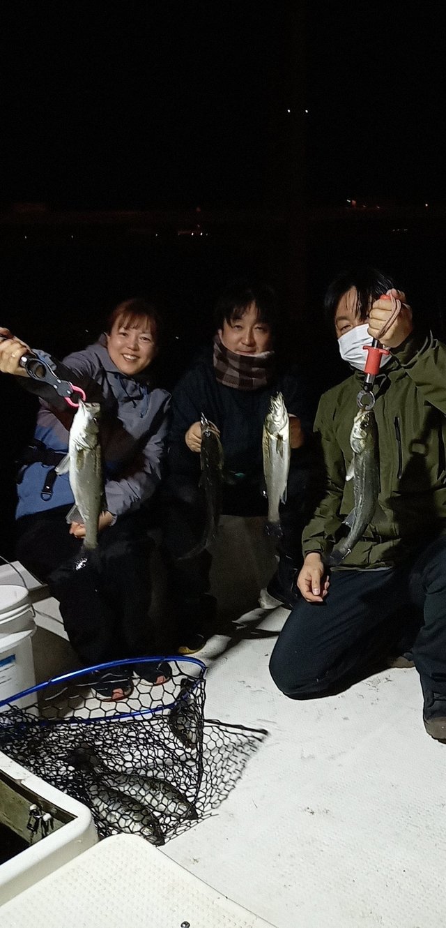 シーバス(スズキ)