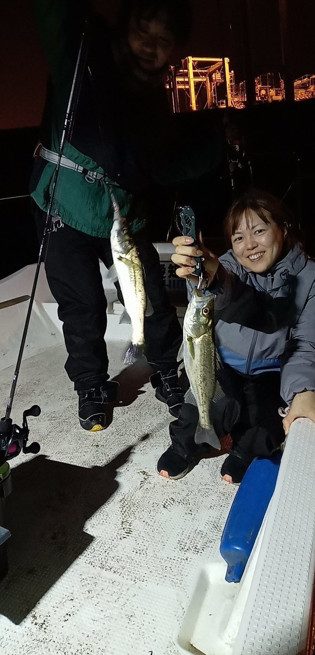 シーバス(スズキ)