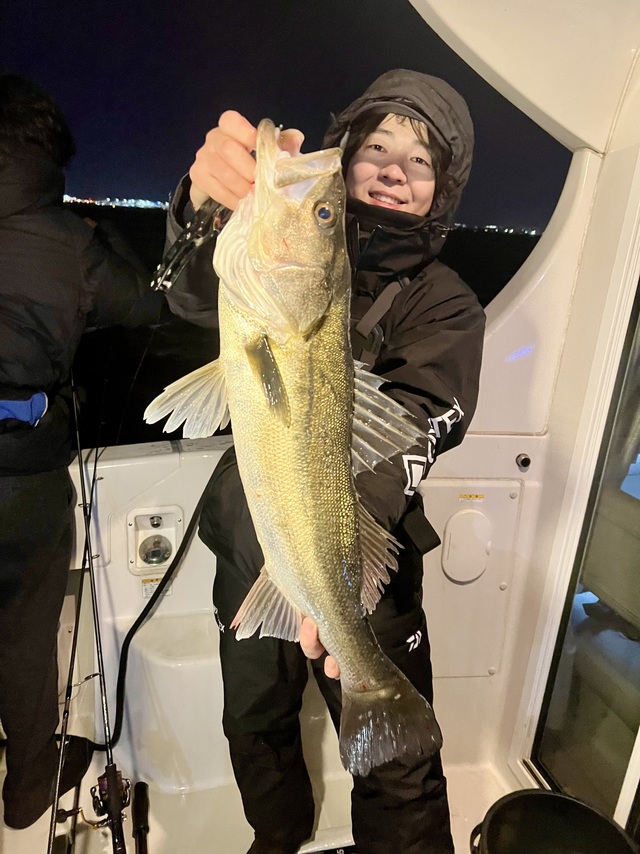 シーバス(スズキ)