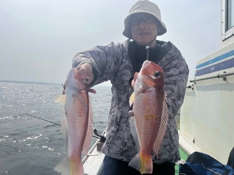 アマダイ(アカアマダイ)