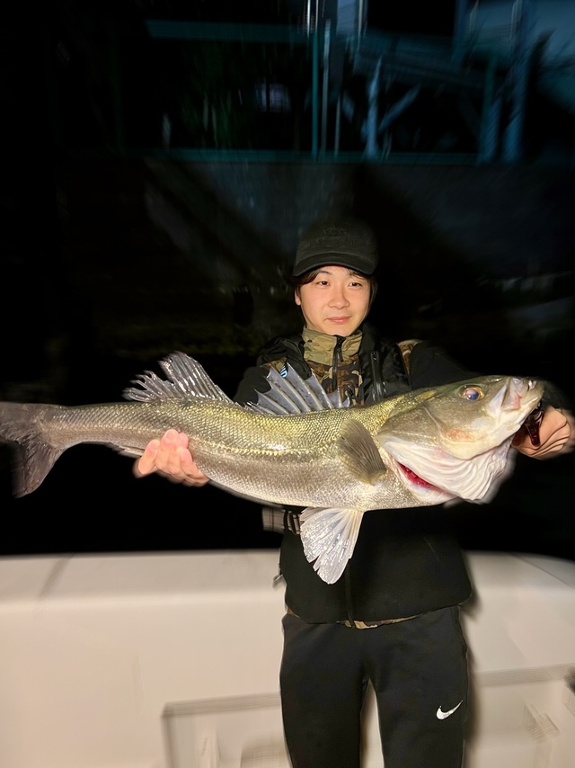 シーバス(スズキ)