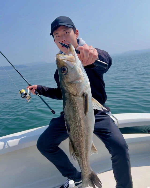 シーバス(スズキ)