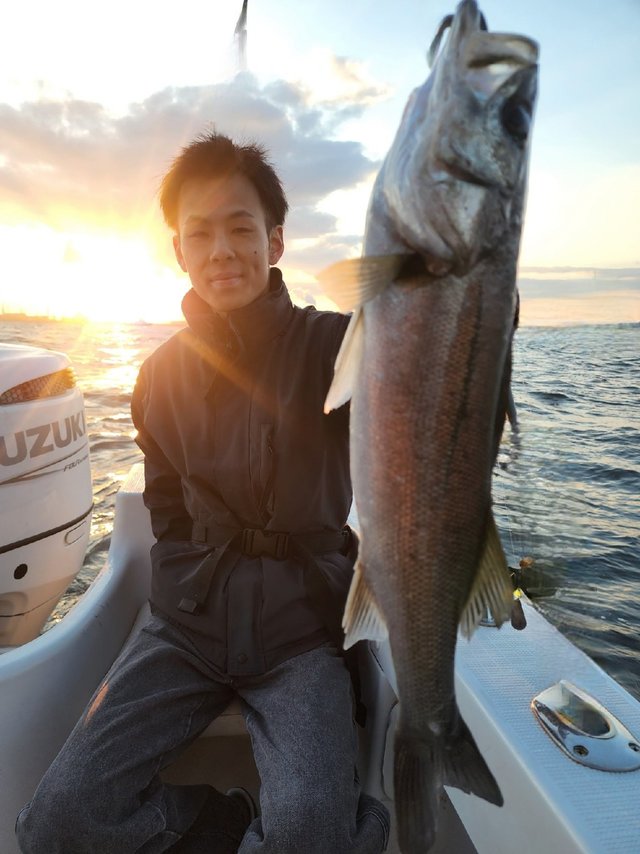 シーバス(スズキ)