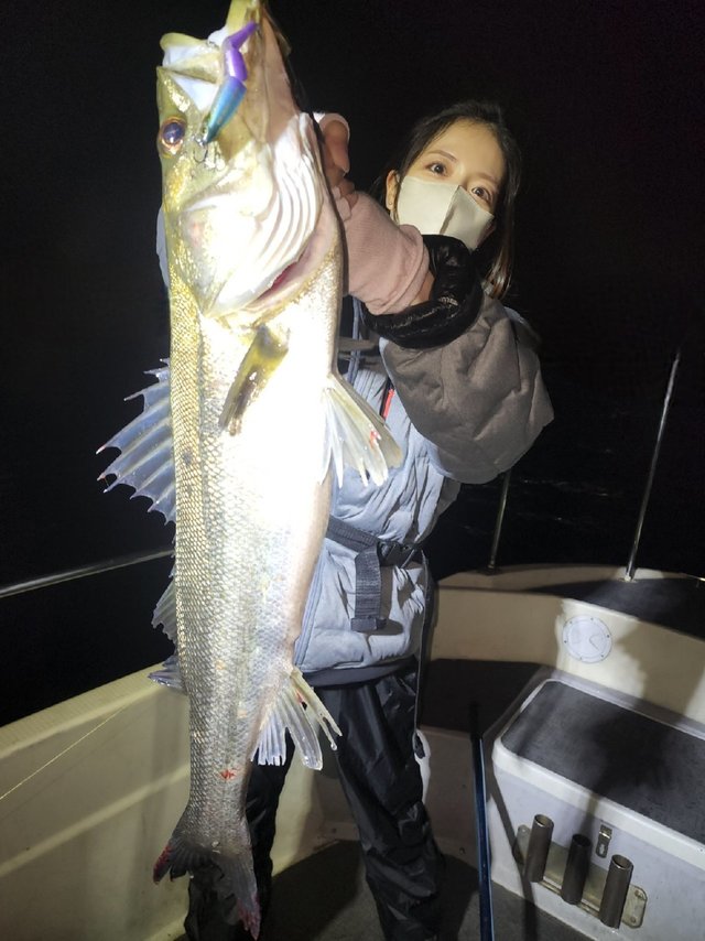 シーバス(スズキ)