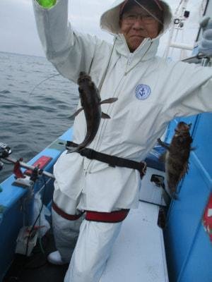 クロメバル(メバル)