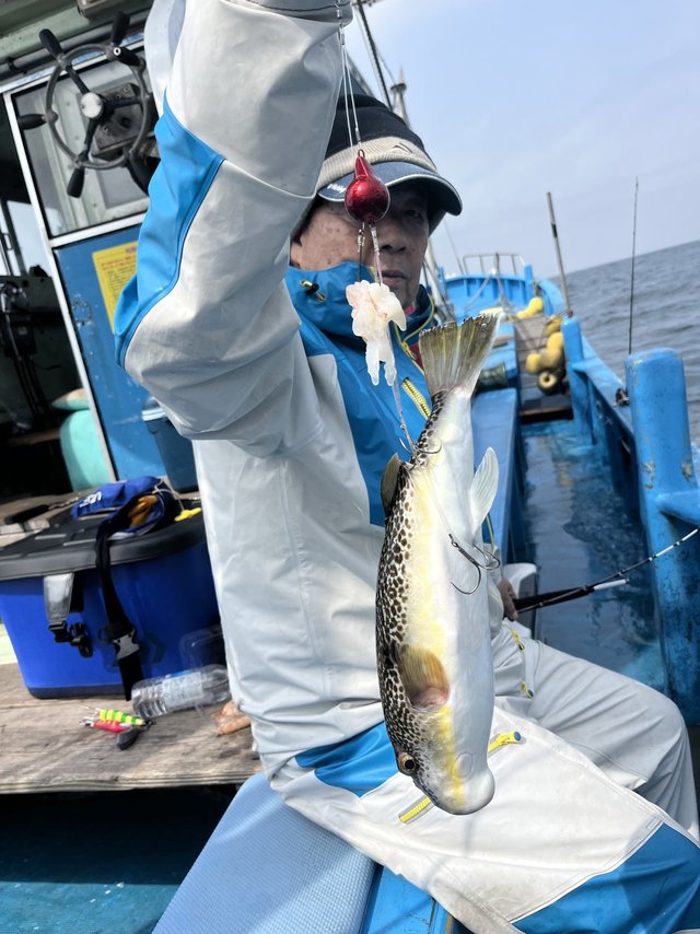 フグ(ショウサイフグ)