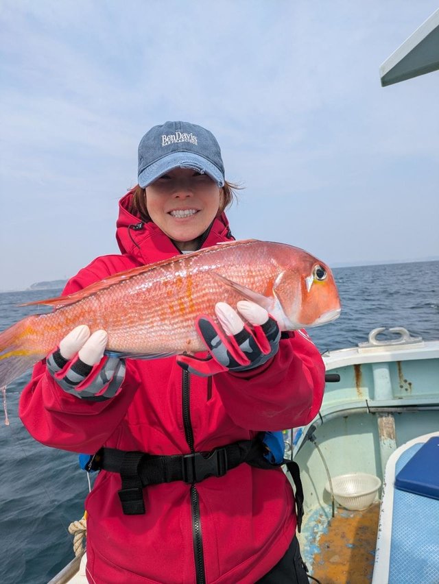 アマダイ(アカアマダイ)