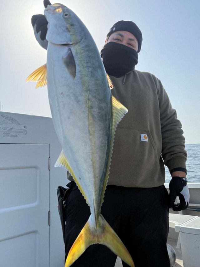 サンパク(ブリ)