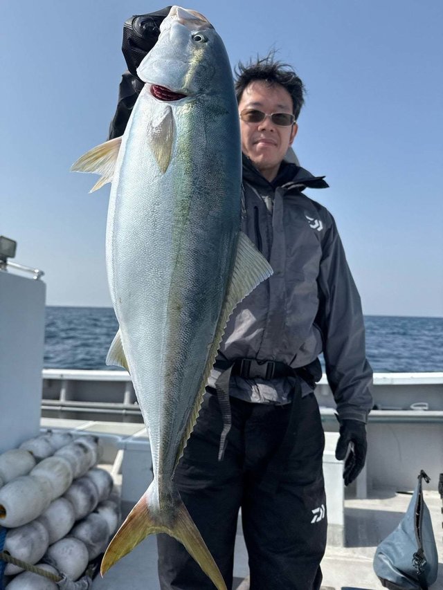 サンパク(ブリ)