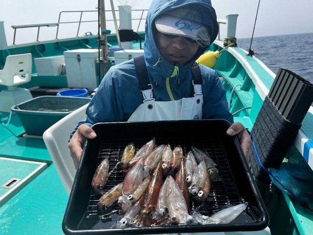 マルイカ(ケンサキイカ)