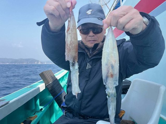 マルイカ(ケンサキイカ)