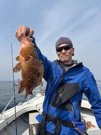 アコウ(キジハタ)