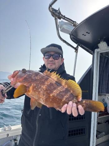 アコウ(キジハタ)