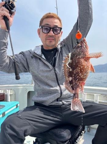 ガシラ(カサゴ)