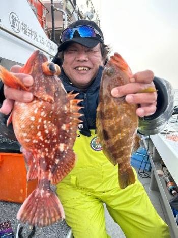 キジハタ・カサゴ