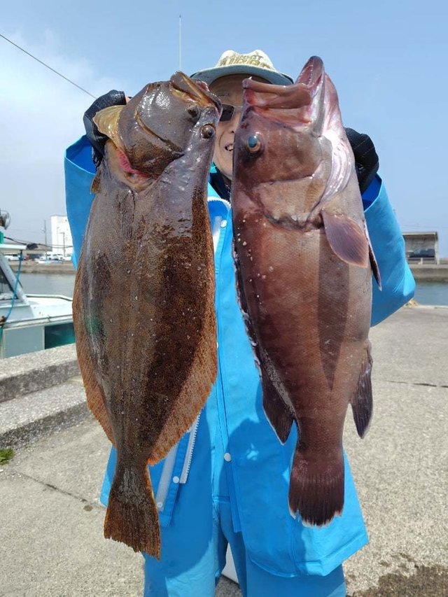 マハタ・ヒラメ