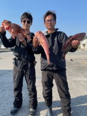 マハタ・アマダイ(アカアマダイ)・ホウボウ