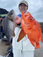 イサキ・キントキ(チカメキントキ)