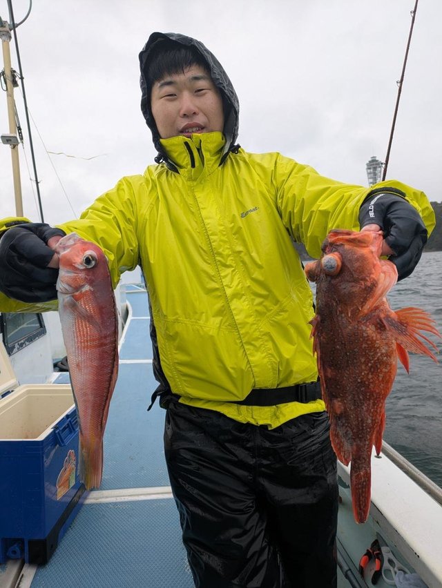 アマダイ(アカアマダイ)