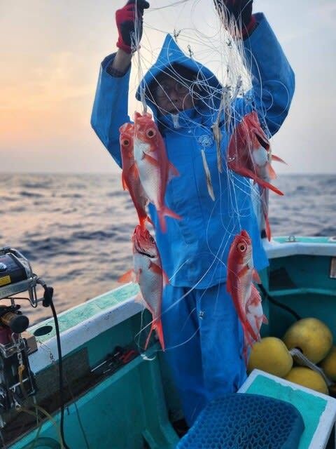 キンメ(キンメダイ)