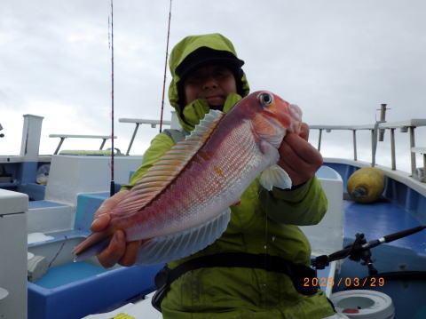 アマダイ(アカアマダイ)