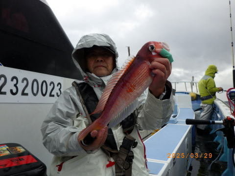 アマダイ(アカアマダイ)