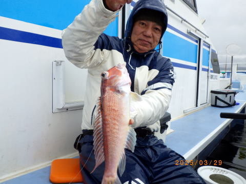 アマダイ(アカアマダイ)