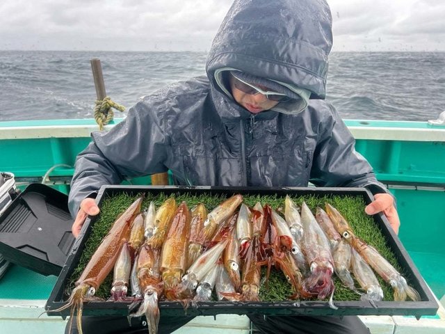 マルイカ(ケンサキイカ)